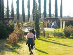 A Brisk Walk